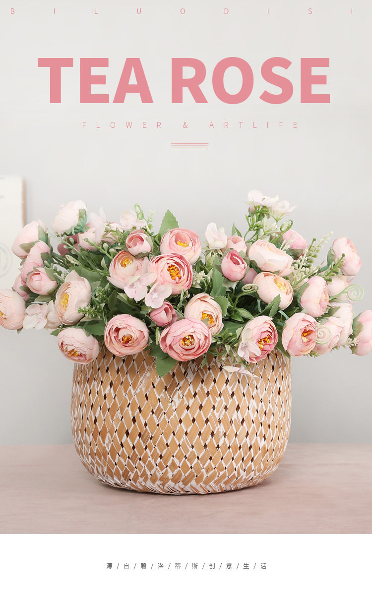 13420104459_1585245758