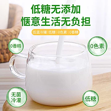 【马小泰】鲜榨低糖椰汁植物椰奶385ml*6瓶[20元优惠券]-寻折猪