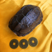 Turtle Shell Gossip Tool Tool Tool Tool Tool Tool 64 Gossip Book Copper Money