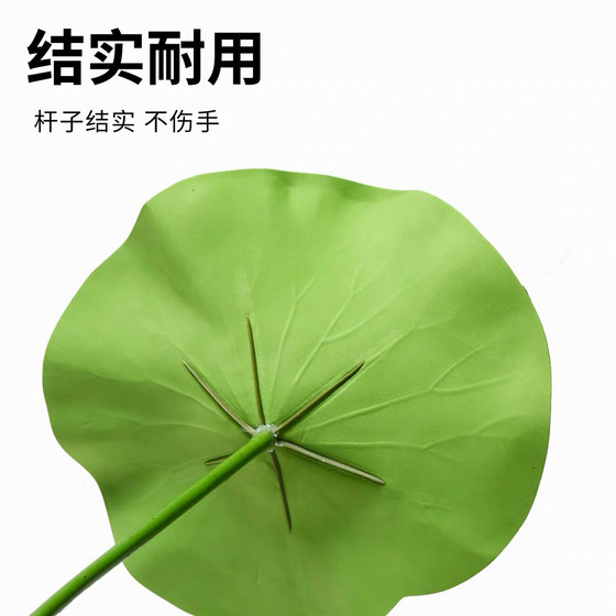 모방 연꽃 잎 연꽃 꼬투 모방 연꽃 잎 연꽃 꼬투