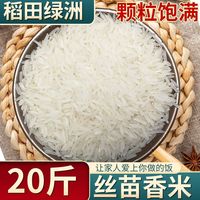 当季晚稻丝苗长粒香米新米象牙米茉莉香