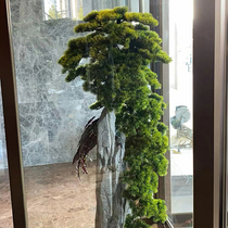 Hotel simulated revolving door floral arrangement welcoming pine shopping mall large green plant fake pine tree floor-to-ceiling landscape pieces