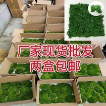 White hair moss moss fake moss big gray moss dried flower background wall simulated moss wall immortal flower simulated moss