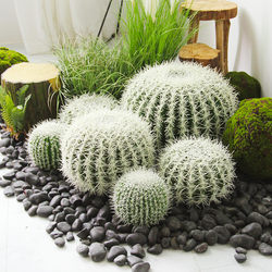 Nordic simulated white thorn cactus potted ornaments large fake green plant bonsai decoration tropical desert plant landscaping
