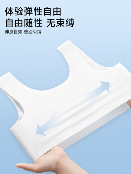 비밀스러운 일회용 속옷 브래지 비밀스러운 일회용 속옷 브래지