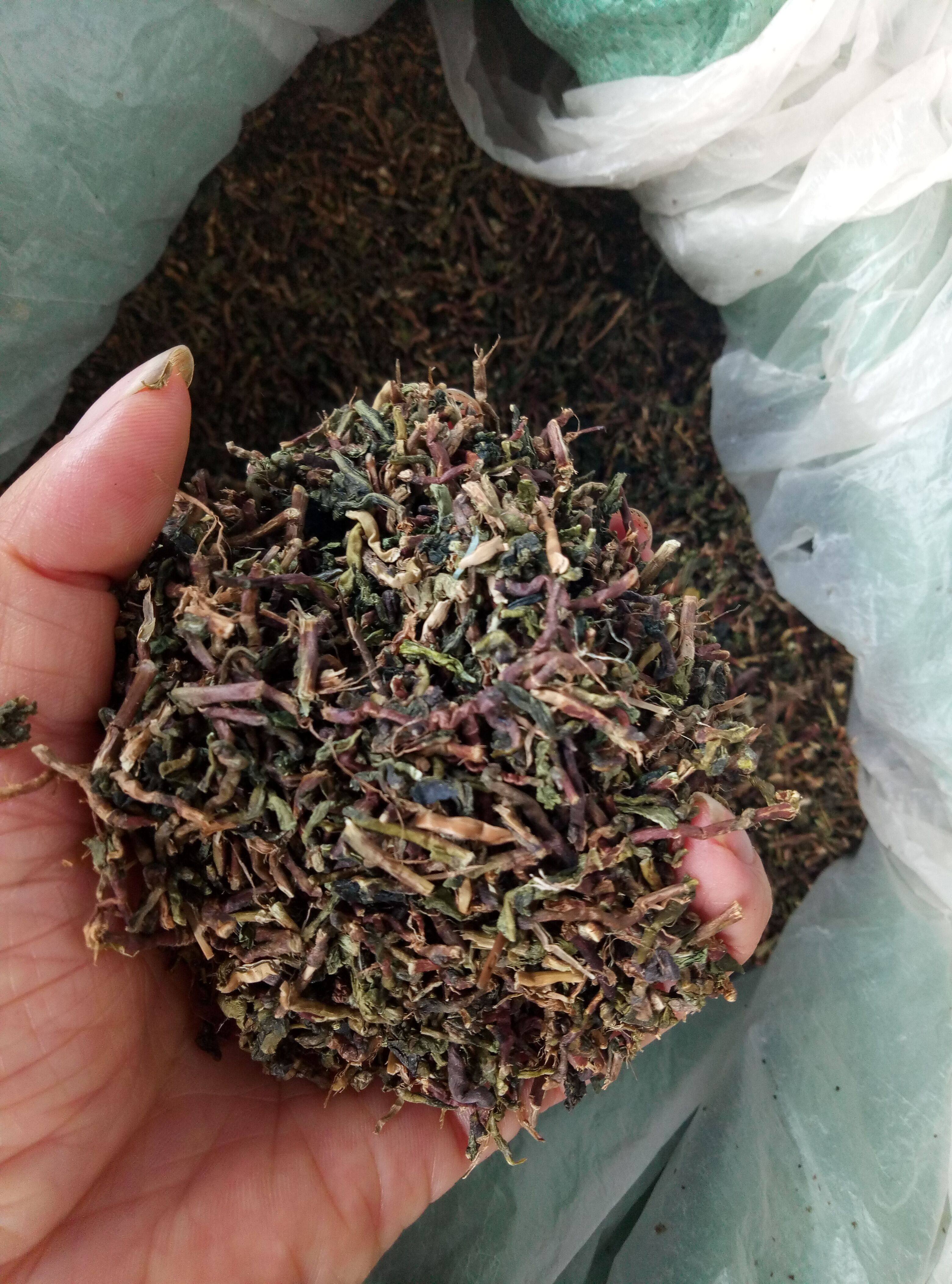 铁观音茶梗散装茶叶新房装修去甲醇煮茶叶蛋碎茶叶一件5斤包邮