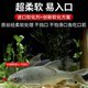 7 성급 플로트 라인 세트 Qianyouchaotian Hook 전통적인 낚시 고리 고 민감도 낚시 라인 세트 야생 낚시 십자 잉어 플로트 완제품 7 성급 플로트 라인 세트 Qianyouchaotian Hook 전통적인 낚시 고리 고 민감도 낚시 라인 세트 야생 낚시 십자 잉어 플로트 완제품