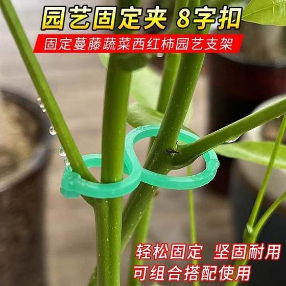 Gardening 8 -character buckle plant binding cucumber eggplant, fixed plastic garden, green planting vine sandwich gourd ring Gardening 8 -character buckle plant binding cucumber eggplant, fixed plastic garden, green planting vine sandwich gourd ring