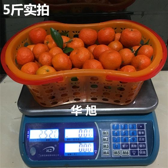 설탕 오렌지 바스켓 선물 L 박스 포장 플라스틱 과일 바구니 뚜껑 오렌지 핸드 바스켓 설탕 오렌지 바스켓 선물 L 박스 포장 플라스틱 과일 바구니 뚜껑 오렌지 핸드 바스켓