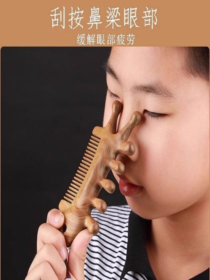 다기능 마사지 빗 모방 백단향 빗질 헤드 메리디안 스크래핑 헤드 건강 관리 빗 3 인의 두꺼운 미세한 치아 다기능 마사지 빗 모방 백단향 빗질 헤드 메리디안 스크래핑 헤드 건강 관리 빗 3 인의 두꺼운 미세한 치아
