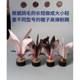 무료 배송 비둘기 모피 셔틀 콕 고탄성 킥 에너지가 강한 난방 꽃 셔틀 콕 드럼 스킨 뱀 피부 바닥 순수한 수제 치킨 깃털 셔틀 콕 8 피스 양키. 무료 배송 비둘기 모피 셔틀 콕 고탄성 킥 에너지가 강한 난방 꽃 셔틀 콕 드럼 스킨 뱀 피부 바닥 순수한 수제 치킨 깃털 셔틀 콕 8 피스 양키.