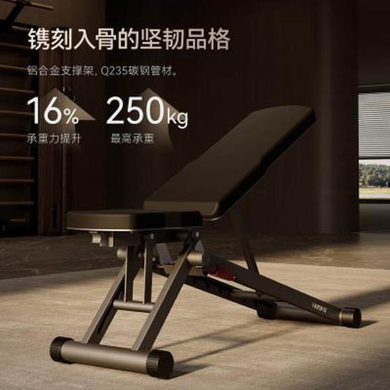 Jueying Dumbbell 의자 완전히 접힌 다기능 조절 가능한 싯업 복부 근육 판 피트니스 벤치 벤치 벤치 벤치 의자 Jueying Dumbbell 의자 완전히 접힌 다기능 조절 가능한 싯업 복부 근육 판 피트니스 벤치 벤치 벤치 벤치 의자