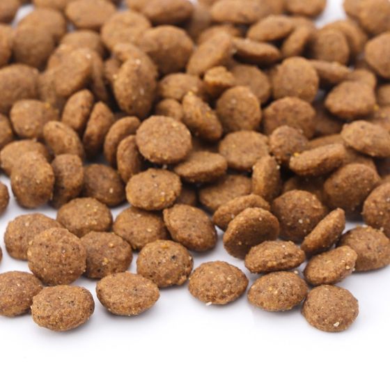 Oh baby dog food universal type of dog food special Teddy small and medium -sized dog golden wool whole dog breed main grain 10*0.5kg installation
Oh baby dog food universal type of dog food special Teddy small and medium -sized dog golden wool whole dog breed main grain 10*0.5kg installation
