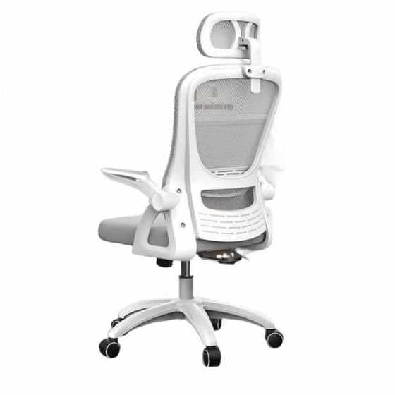 Computer chairs, household public chairs, mesh cloth lifting and rotating staff e-sports chairs, dormitory ergonomics seats
Computer chairs, household public chairs, mesh cloth lifting and rotating staff e-sports chairs, dormitory ergonomics seats
