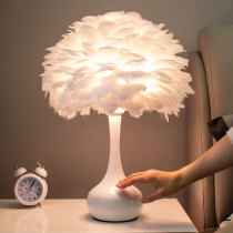 Feather desk lamp bedroom bedside lamp Nordic ins girl Net red light warm romantic modern simple Typhoon Touch