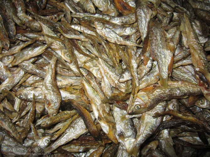 大别山特产小河鱼天仙河野生小河鱼岳西菖蒲水畈特产菖蒲河鱼