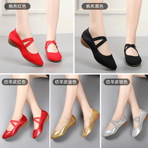 Square dance shoes Women in soft bottom Heel Soft Bottom Ladies Practice Dancing Shoes All Season Cloth Shoes Middle Aged Flat Dance Shoes