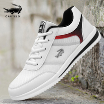 Crocodile Men Shoes Summer Breathable Mesh Noodles Sneakers Thin Men Casual Little White Shoes 2022 Shoes Mens Tennis Shoes