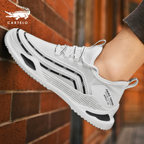 Crocodile mens shoes summer breathable thin section flying woven leisure sports net shoes Autumn canvas shoes tide wild Daddy shoes