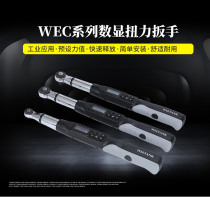 WEC6-500BN WEC6-850BN Strong value sound and light alarm digital display torque wrench WIZTANK wrench