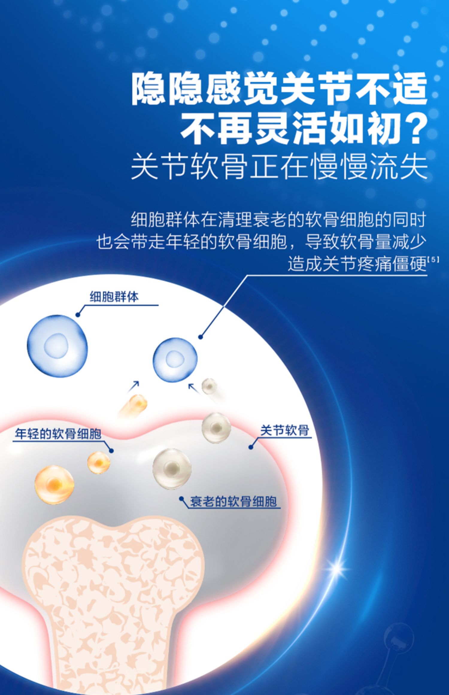 钙尔奇进口UC2小蓝片骨胶原碳酸钙