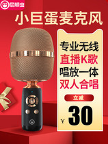 Fart bug Q3 small dome microphone Audio integrated microphone Live national K singer machine TV wireless home live artifact singing equipment set Bluetooth home KTV outdoor professional