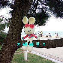 Big Eye Frog Handmade Mimi Rabbit Doll Wool Crochet diy Hand Gift Homemade Material Bag