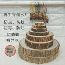 Round wood chips camphor wood chips diy hand-painted wardrobe insect-proof moth base coaster props ornaments