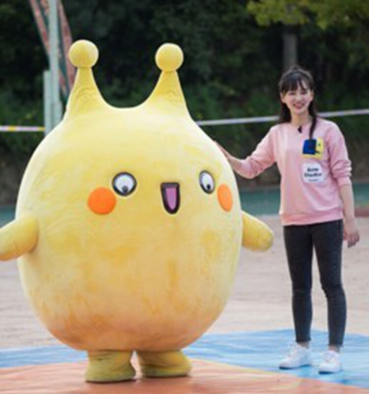 定做人偶总动员麦咭服装哪鹅卡通服饰小d玩偶服cos人穿行走公仔