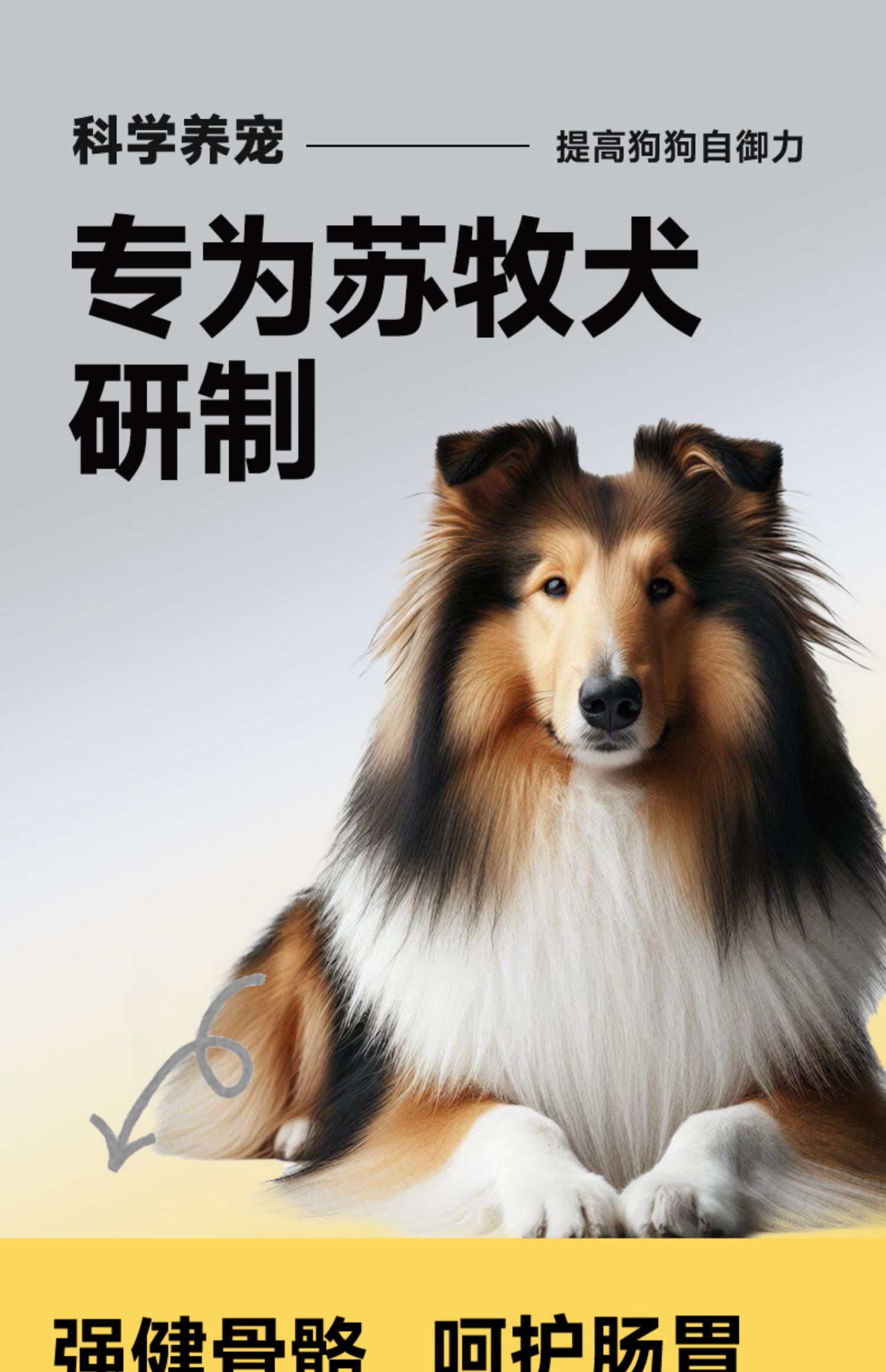 苏牧成犬狗粮5kg 中大型犬天然粮 苏格兰牧羊犬专用美毛犬粮30斤