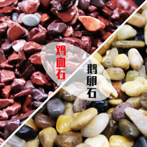 Stone Fish Tank Decorated with Chicken Blood Sandstone Stones Swaying Pieces Aquarium Rain Flowers Stone Cobble Cloth View Sand Pebble Stones