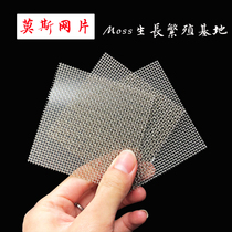 Stainless steel water does not rust fish tank landscaping Moss tree material Moss tied water plant planting 8*8 mesh