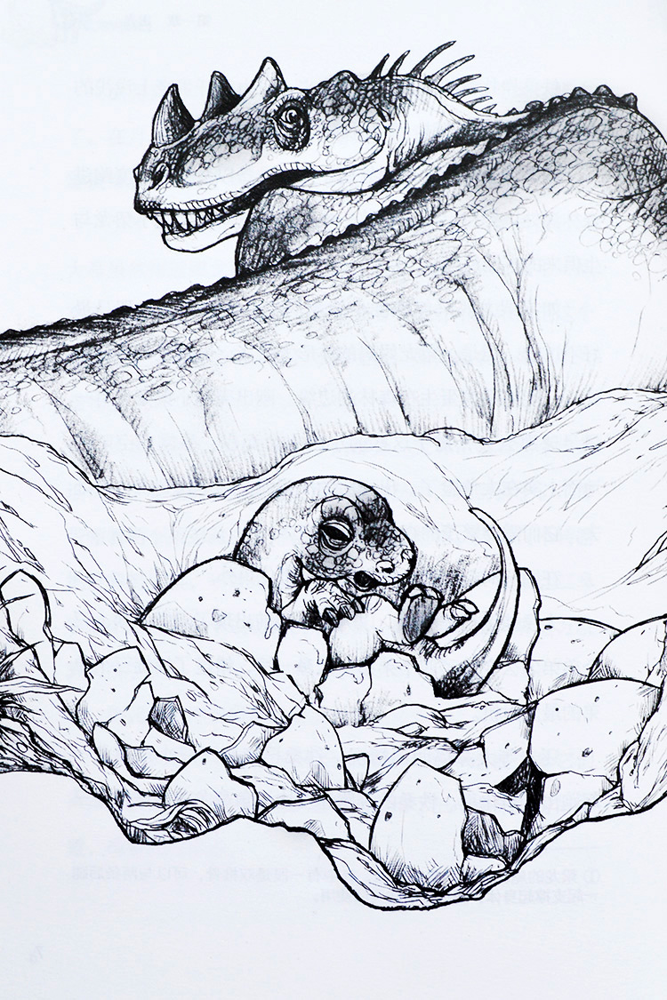 梁龙的家园 袁博动物小说系列 2016暑期教委推荐 4-6年级曹文轩推荐