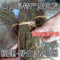 Fujian wild pig hair cabbage zapeng tree thorn pig hair tassel monkey hair brown cabbage 500g