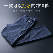 Assault pants mens windproof waterproof pants womens outdoor sports hiking spring and autumn thin soft shell rain-proof mountaineering pants