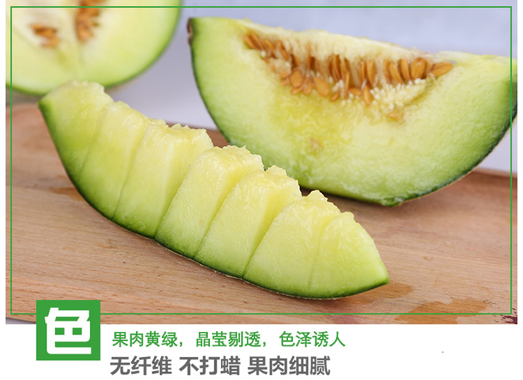 日本玫珑瓜 甜瓜海南种植玫龙瓜网纹瓜香瓜张