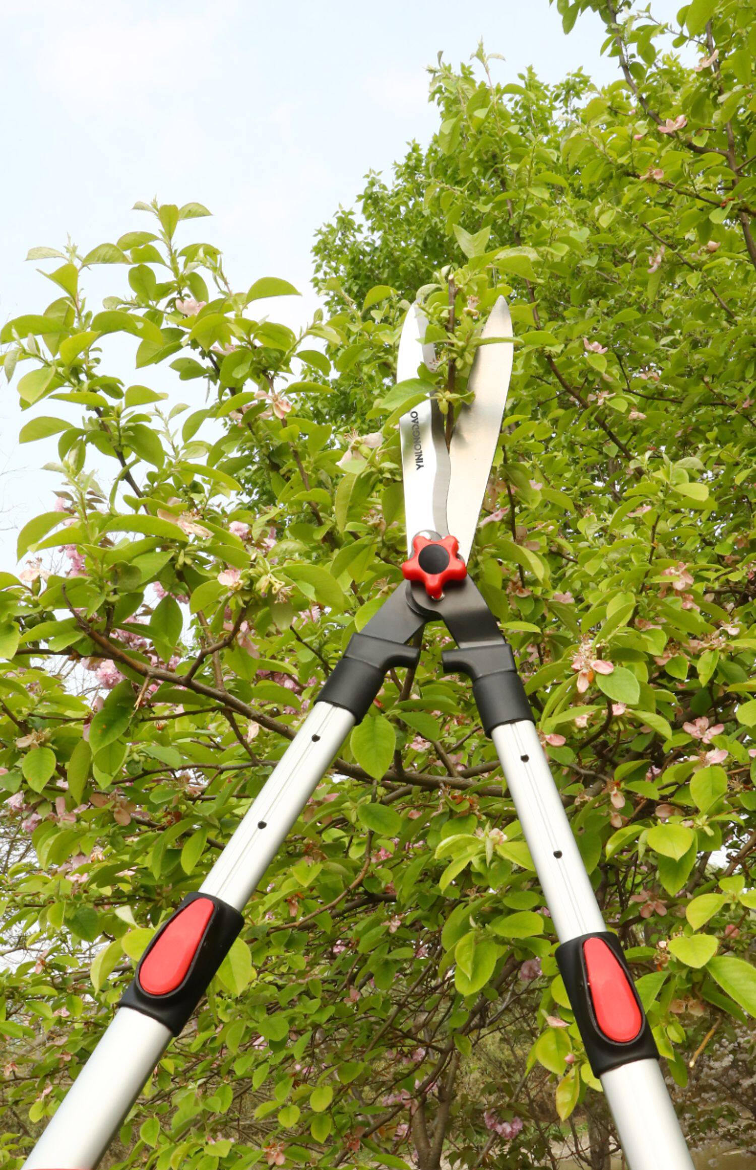 园艺剪刀修枝剪园林修剪树枝大剪刀剪草神器绿篱剪花圃修花草坪剪