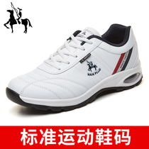 Nay Guest Paolo Male Shoes Wave Shoes 2020 New Shoes Mens Spring Tourist Shoes Casual Sneakers Air Cushion Heightening Shoes