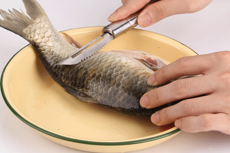 不锈钢柄鱼鳞刨刀 刮鱼鳞刨子 丝瓜刨皮刀 多功能水果削皮器