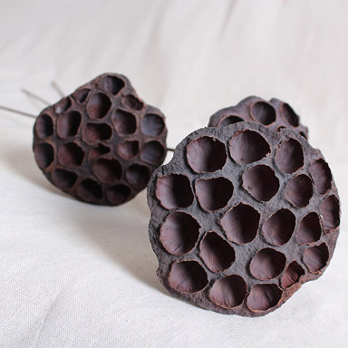 荷花干莲蓬壳 莲房 莲壳植物枯莲蓬拍摄道具中药材两用250g包邮