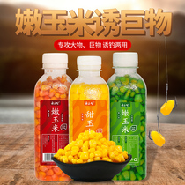 Sweet and tender corn bait mouth-watering grains Laotan wheat wine rice wild fishing crucian carp carp grass carp bait nest material