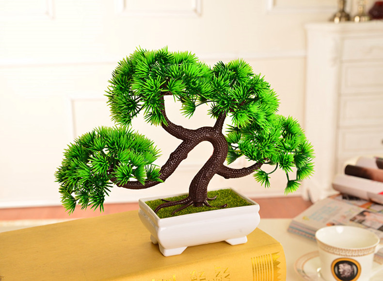 бонсай Hejia ornaments бонсай Hejia ornaments