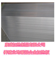 Northern community water dispenser antifreeze aluminum alloy heating plate lizard reptile insulation warm seat snake constant temperature turtle box pad