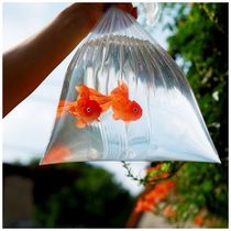 Simulated small fish soft glue simulated goldfish photo props baby travel photo props small objects creative travel photography