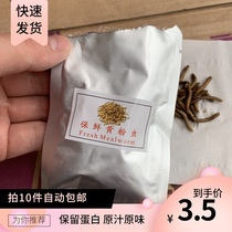 Fresh-keeping bread worms hedgehog feed honey-baglider yellow mealworm high-grade food snacks supplement nutrition high-protein freeze-dried insects