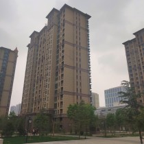 Undertaking internal external wall insulation colorful simulation stone lacquer coating rock sheet lacquered water ladle water sand engineering construction door-to-door quote