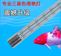 Fish tank lamp LED lamp waterproof lamp aquarium lighting lamp small red and white koi lamp 7030 three-color brightening lamp
