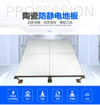 Cyperi national standard ceramic anti-static floor small Orchid tile surface anti-static elevated raised floor 600