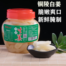 Anhui specialty authentic Tongling ginger sauce spiced ginger white ginger pickled fresh ginger sprouts sweet and sour ginger 1000g