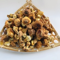 Agaricus blazei dried goods matsutake mushroom Yunnan specialty brazilian mushroom mushroom fungi Super Matsutake mushroom sulfur-free smoked 250g